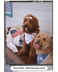 PATRIOTIC DOG BANDANA | VINEYARD BELLE