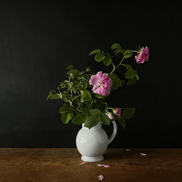 Astier de Villatte Boule Pitcher