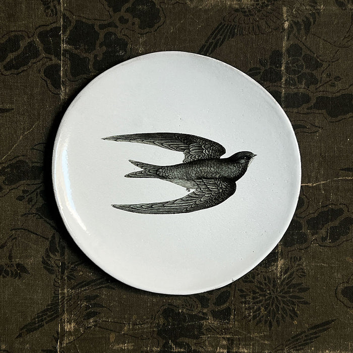 Astier de Villatte x John Derian Swift Plate
