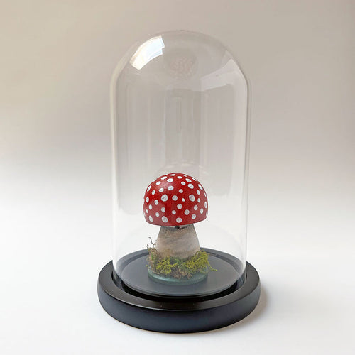 Hand Painted Mushroom Specimen in a Glass Dome (B)