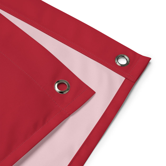 Norwegian Flag