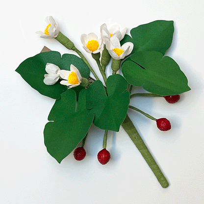 Paper Alpine Strawberry Stem by The Green Vase
