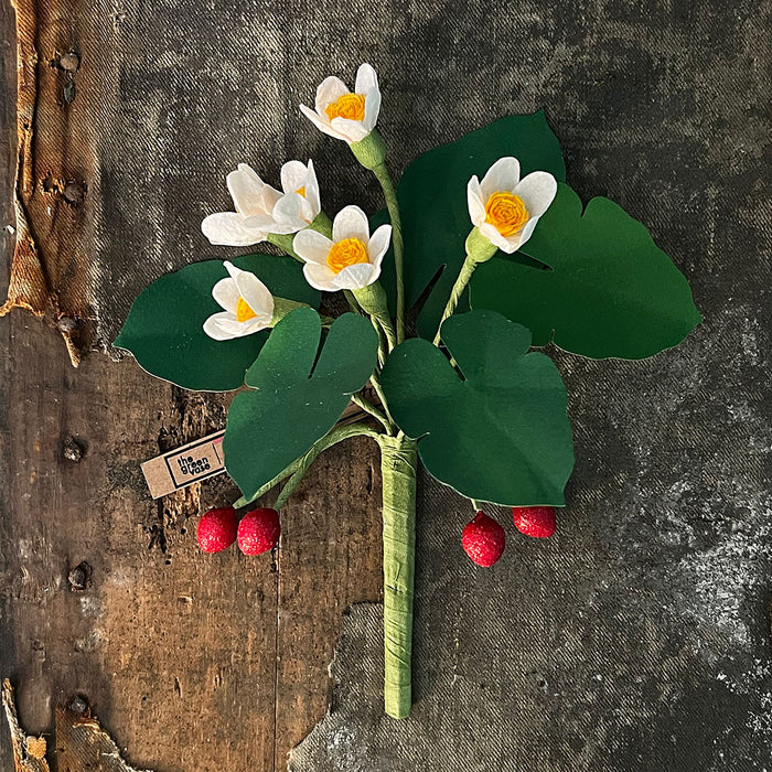 Paper Alpine Strawberry Stem by The Green Vase