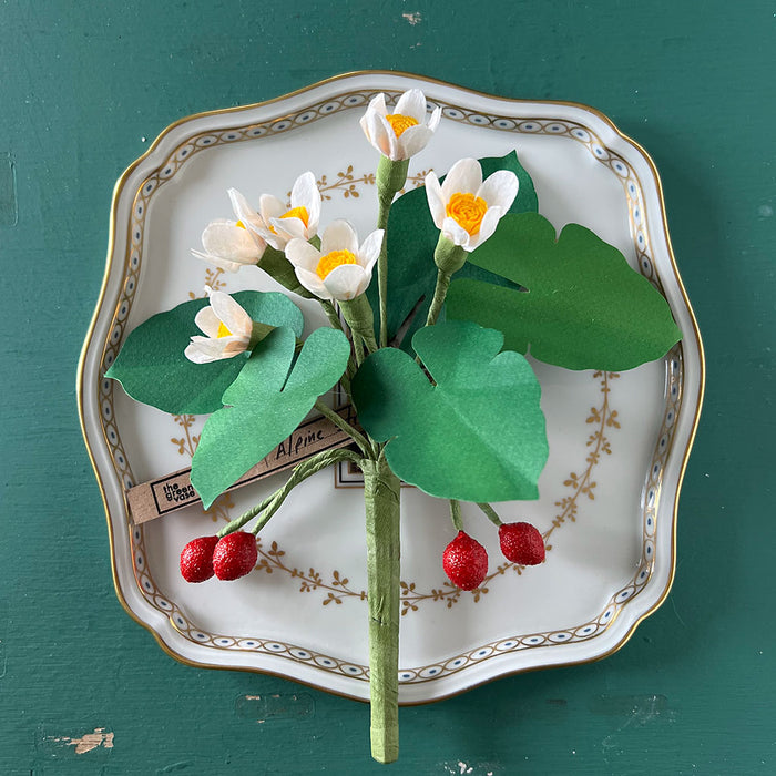 Paper Alpine Strawberry Stem by The Green Vase