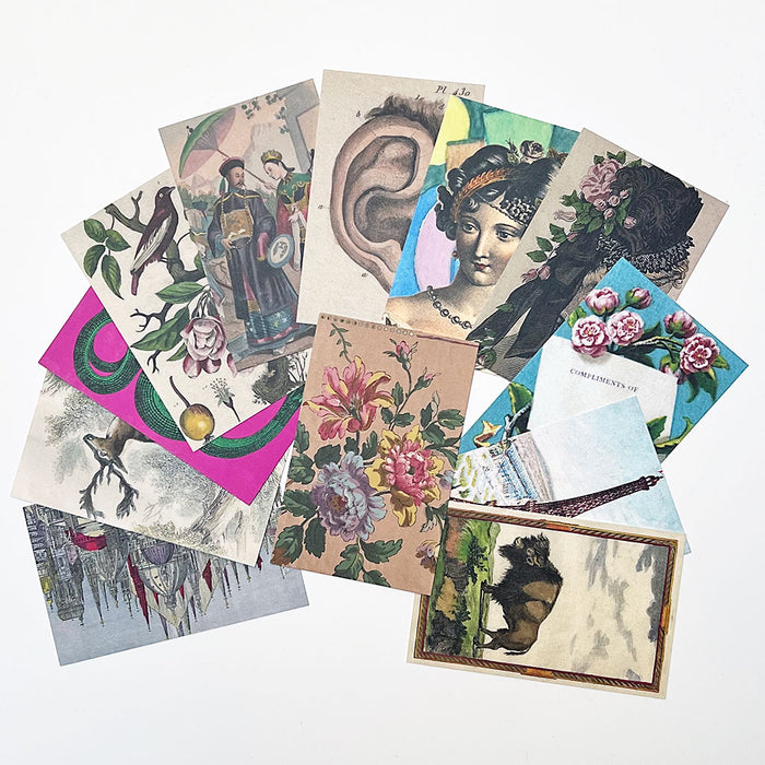 PATCH NYC Postcard Pack II