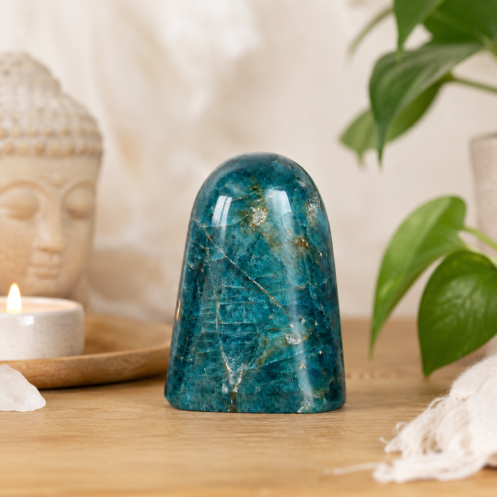 Polished Apatite Freeform Crystal (Strength and Clarity)